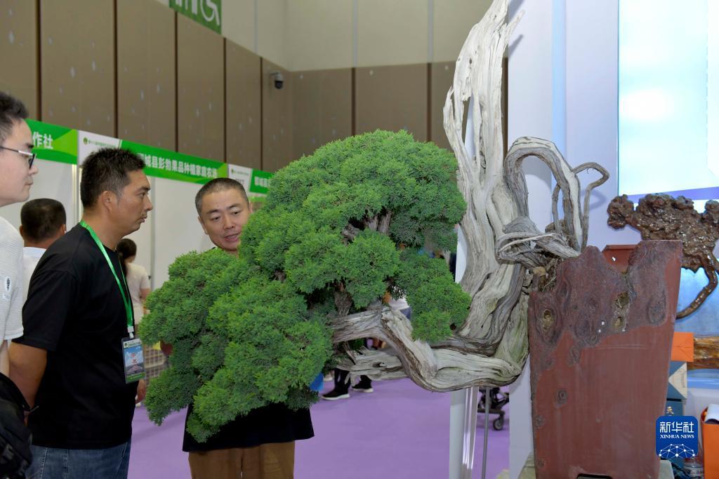 澳门足球即时倍率